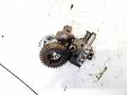 Gleitschiene Steuerkette Hyundai Sonata V (NF) 2005.01 - 2010.12 Gebraucht,