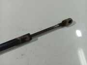 Gasfeder f?r Motorhaube Audi A4, B5 1994.11 - 1999.09 Gebraucht,