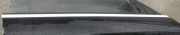 Zierleiste Leiste - Vorne Rechts Mercedes-Benz C219, I 2004.10 - 2011.01 Gebraucht,