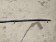 Dachreling Linke Audi A6, C6 2005.01 - 2008.10 4F9860021E, 4F9 860 021 E