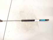 Gasdruckfeder Kofferraum Ford Focus, 2004.11 - 2008.06 as128445,