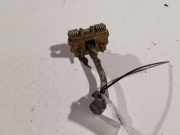 Türfangband Türbremse Türstopper - Vorne Rechts Peugeot 406, 1999.03 - 2004.05 facelift Gebraucht ,