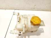 Ausgleichsbehälter Chevrolet Captiva, 2006.01 - 2011.06 96837836,