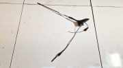 GPS Antenne Peugeot 206, 1998.08 - 2002.07 9636600680, 921793002