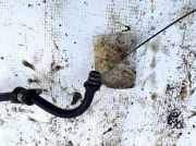 Servoleitung Leitung Servo Servoschlauch Schlauch Mercedes-Benz C219, I 2004.10 - 2011.01 Gebraucht,