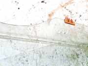 Seitenscheibe - Vorne Rechts Nissan Leaf, I 2010 - 2017.12 dot39as2m40,