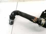 Kühlerschlauch Toyota Auris, II E18 2012.10 - 2015.06 Gebraucht ,