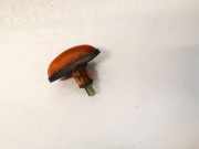 Blinkleuchte Kotflügel - Vorne Rechts Chrysler Voyager, IV 2000.02 - 2008.12 Gebraucht,