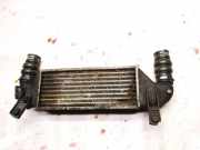 Ladeluftkühler Ford Focus, 1998.10 - 2002.10 Gebraucht ,