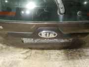 Kennzeichenleuchte Kia Sportage, 2004.09 - 2010.01 Gebraucht,