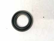 Blende Scheinwerfer - Vorne Dodge Journey. 2009.01 - 2014.12 Gebraucht ,