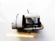Türscharnier Hinten Renault Scenic, II 2003.06 - 2006.06 Gebraucht,