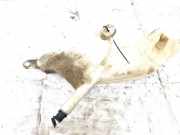 Scheibenwaschbeh?lter Vorne Wischwasserbeh?lter Fiat Doblo, 2000.03 - 2005.10 Gebraucht,