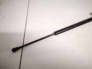 Gasdruckfeder Kofferraum Toyota Corolla, 2004.02 - 2007.02 facelift 689600w170,68960-0w170