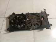 Kühlerlüfter Lüftermotor Fiat Doblo, 2005.10 - 2009.08 M17000100,M17000100
