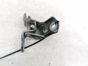 Türscharnier Vorne Renault Vel Satis, 2002.06 - 2009.12 Gebraucht,