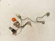 Glühbirnenfassung Blinker Skoda Superb, II 2008.03 - 2013.06 Gebraucht,