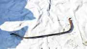 Halteband Kraftstoffbehälter Volkswagen Touran, 2003.01 - 2006.10 Gebraucht, BKD