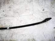 Dachreling Linke Skoda Roomster, I 2006.01 - 2010.05 Gebraucht,