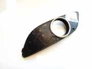 Kühlergrill - Vorne Linke Mercedes-Benz W245 2005 - 2011 a1698851122, 211000027