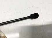 Gasfeder für Motorhaube Audi A6, C6 2005.01 - 2008.10 Gebraucht,