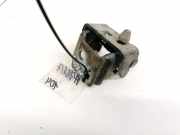 Türscharnier Vorne Peugeot 207, 2006.02 - 2009.06 Gebraucht,
