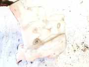 Scheibenwaschbehälter Vorne Wischwasserbehälter Mercedes-Benz ML, W164 2005.06 - 2009.07 a1648690020,