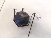 Druckspeicher Audi A6, C4 1994.06 - 1997.10 054129808,