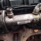 Abgaskühler AGR-Kühler Ford Galaxy, Mk III 2006.04 - 2010.06 9645689780,875816w