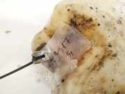 Scheibenwaschbehälter Vorne Wischwasserbehälter Fiat Ulysse, II 2002.06 - 2014.12 1492811080,