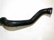 Intercooler Schlauch Renault Scenic, I 1996.01 - 1999.09 Gebraucht,