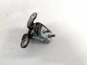 Türscharnier Hinten Renault Laguna, II 2001.03 - 2006.05 Gebraucht,