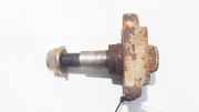 Achszapfen Achsk?rper - Hinten Linke Renault Scenic, I 1996.01 - 1999.09 Gebraucht,