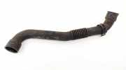 Entlüftungsschlauch Kraftstoffbehälter Audi A4, B6 2000.11 - 2004.11 038103493AE,