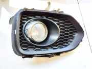 Nebelscheinwerfer - Vorne Linke Kia Sorento, II 2009.06 - 2012 922012p0l, 92201-2p0l