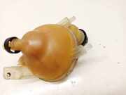 Ausgleichsbehälter Peugeot RCZ 2009 - 2015 Gebraucht,