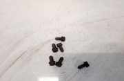 Schraube Druckplatte Volkswagen Passat, B6 2005.08 - 2010.11 Gebraucht, BKP