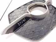 Kühlergrill - Vorne Rechts BMW X6, E71E72 2008.01 - 2014.06 Gebraucht,