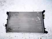 Wasserkühler Seat Ibiza, III 2002.02 - 2009.11 Gebraucht,