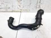 Intercooler Schlauch Volkswagen Bora, 1998.01 - 2005.12 PX0446037, AJM