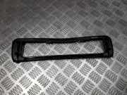 Innenausstattung Renault Scenic, II 2003.06 - 2006.06 8200223829,8200223830