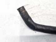 Kühlerschlauch Chrysler Sebring, III 2007.05 - 2010.12 1K0121157,