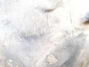 Radhausschale - Vorne Linke Renault Scenic, II 2003.06 - 2006.06 8200136725,