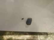 Waschwasserdüse Scheibenreinigung Toyota Corolla, 2001.11 - 2004.02 Gebraucht,
