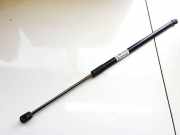 Gasdruckfeder Kofferraum Citroen C4 Grand Picasso, I 2006.01 - 2013.06 031779f30625n,