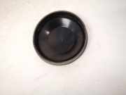 Blende Scheinwerfer - Vorne Renault Scenic, II 2003.06 - 2006.06 153874,