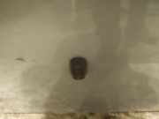 Waschwasserdüse Scheibenreinigung Ford Focus, 2004.11 - 2008.06 Gebraucht,