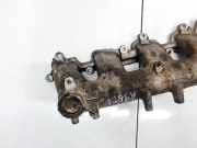 Ansaugkrümmer Nissan X-Trail, 2001.06 - 2007.06 NL0753,