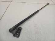 Gasfeder für Motorhaube Ford C-MAX, 2003.01 - 2007.06 Gebraucht,