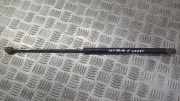 Gasfeder f?r Motorhaube Renault Safrane, 1992.04 - 1996.07 7700812193,6751050253n